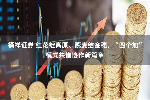 桶祥证券 红花绽高原、藜麦结金穗，“四个加”模式共谱协作新篇章