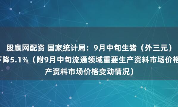 股赢网配资 国家统计局：9月中旬生猪（外三元）价格环比下降5.1%（附9月中旬流通领域重要生产资料市场价格变动情况）