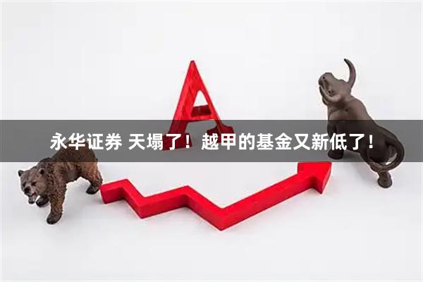 永华证券 天塌了！越甲的基金又新低了！