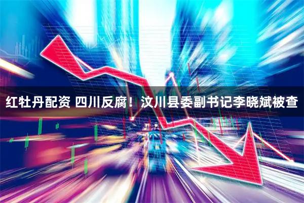 红牡丹配资 四川反腐！汶川县委副书记李晓斌被查