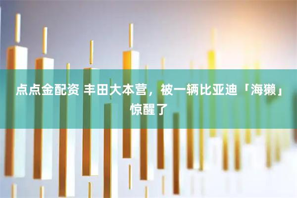 点点金配资 丰田大本营，被一辆比亚迪「海獭」惊醒了