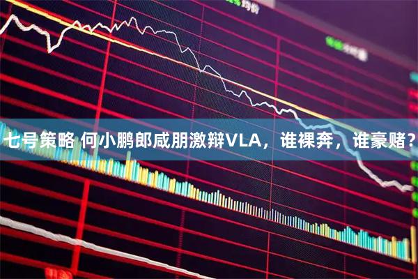 七号策略 何小鹏郎咸朋激辩VLA，谁裸奔，谁豪赌？